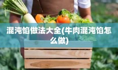 混沌馅做法大全(牛肉混沌馅怎么做)