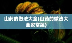 山药的做法大全(山药的做法大全家常菜)