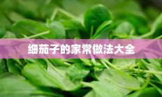 细茄子的家常做法大全