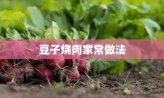 豆子烧肉家常做法