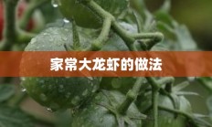 家常大龙虾的做法