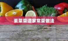 素菜菜谱家常菜做法