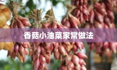 香菇小油菜家常做法