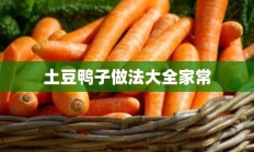 土豆鸭子做法大全家常