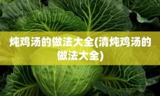 炖鸡汤的做法大全(清炖鸡汤的做法大全)