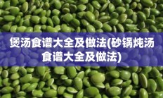 煲汤食谱大全及做法(砂锅炖汤食谱大全及做法)