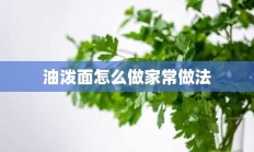 油泼面怎么做家常做法