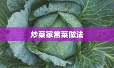 炒菜家常菜做法