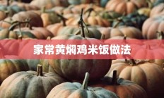 家常黄焖鸡米饭做法