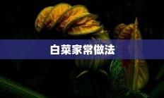 白菜家常做法