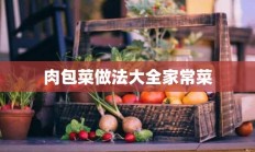 肉包菜做法大全家常菜