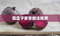 茄盒子家常做法视频