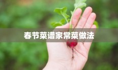 春节菜谱家常菜做法