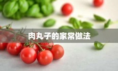 肉丸子的家常做法