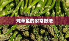 炖草鱼的家常做法