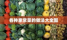 各种家常菜的做法大全图