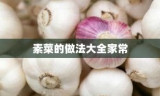 素菜的做法大全家常