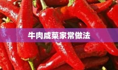 牛肉咸菜家常做法