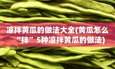 凉拌黄瓜的做法大全(黄瓜怎么“拌”5种凉拌黄瓜的做法)