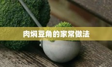 肉焖豆角的家常做法