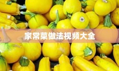 家常菜做法视频大全