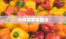 牛肉粥家常做法