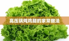 高压锅炖鸡腿的家常做法