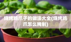 烧烤鸡爪子的做法大全(烧烤鸡爪怎么腌制)