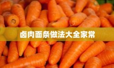 卤肉面条做法大全家常