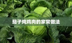 茄子炖鸡肉的家常做法