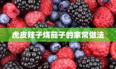 虎皮辣子烧茄子的家常做法