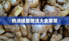 热汤挂面做法大全家常