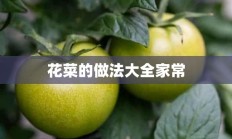 花菜的做法大全家常