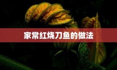 家常红烧刀鱼的做法