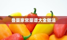 鲁菜家常菜谱大全做法