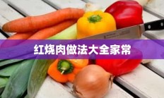 红烧肉做法大全家常