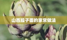 山西臊子面的家常做法