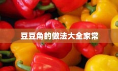 豆豆角的做法大全家常