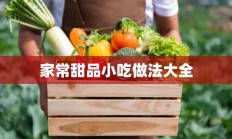 家常甜品小吃做法大全