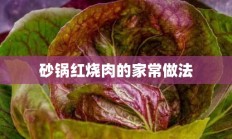 砂锅红烧肉的家常做法