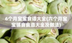 6个月宝宝食谱大全(六个月宝宝辅食食谱大全及做法)