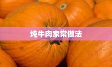 炖牛肉家常做法