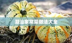 潮汕家常菜做法大全