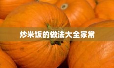 炒米饭的做法大全家常