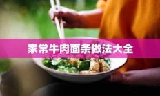 家常牛肉面条做法大全