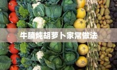 牛腩炖胡萝卜家常做法