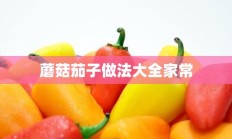 蘑菇茄子做法大全家常