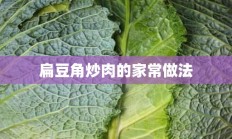 扁豆角炒肉的家常做法