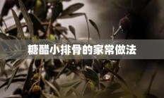 糖醋小排骨的家常做法