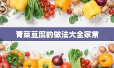 青菜豆腐的做法大全家常